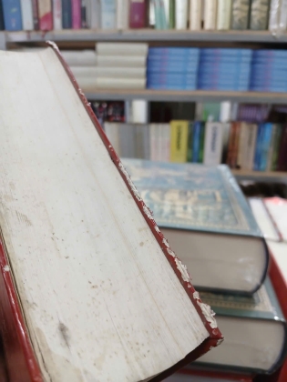 VIỆT NAM PHẬT GIÁO SỬ LUẬN I-II-III - NGUYỄN LANG