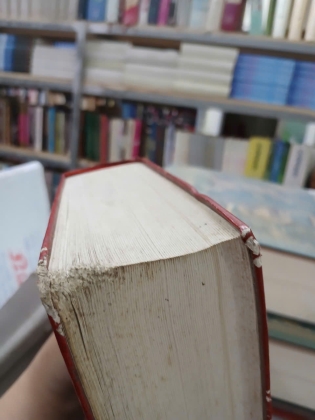 VIỆT NAM PHẬT GIÁO SỬ LUẬN I-II-III - NGUYỄN LANG