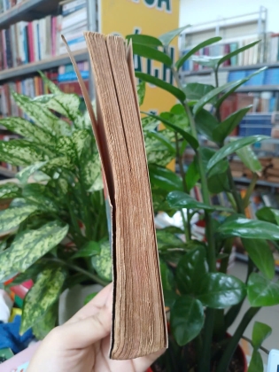 NHỮNG NGỌN GIÓ HUA TÁT - NGUYỄN HUY THIỆP