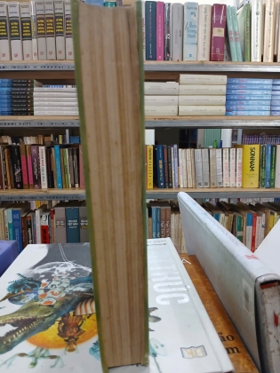 CÂY CÓ VỊ THUỐC Ở VIỆT NAM (BÌA CỨNG) - PHẠM HOÀNG HỘ 