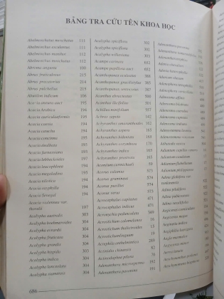 CÂY CÓ VỊ THUỐC Ở VIỆT NAM (BÌA CỨNG) - PHẠM HOÀNG HỘ 