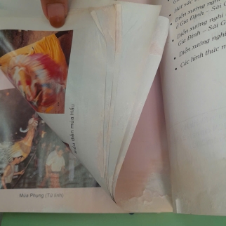 DIỄN XƯỚNG DÂN GIAN GIA ĐỊNH - SÀI GÒN - HUỲNH NGỌC TRẢNG