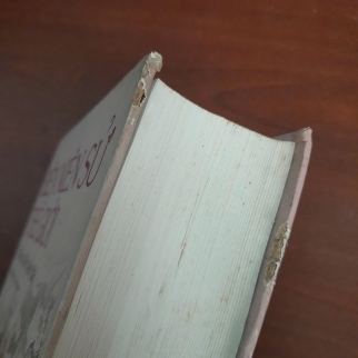 BIÊN NIÊN SỬ THẾ GIỚI TỪ TIỀN SỬ ĐẾN HIỆN ĐẠI - NGUYỄN VĂN DÂN