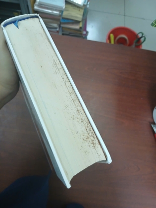 NỀN TẢNG VĂN MINH PHƯƠNG TÂY (BÌA CỨNG)