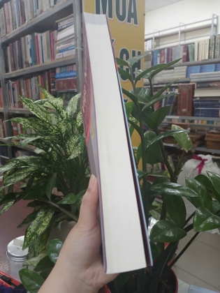 VIỆT NAM LÃNH THỔ VÀ CÁC VÙNG ĐỊA LÝ - LÊ BÁ THẢO