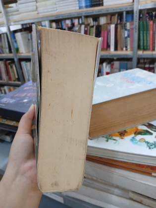 VUA GIA LONG VÀ NGƯỜI PHÁP - THỤY KHUÊ