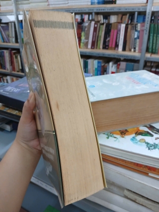 VUA GIA LONG VÀ NGƯỜI PHÁP - THỤY KHUÊ