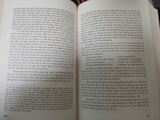 TIẾNG VIỆT - MẤY VẤN ĐỀ NGỮ ÂM, NGỮ PHÁP, NGỮ NGHĨA (BÌA CỨNG) - CAO XUÂN HẠO