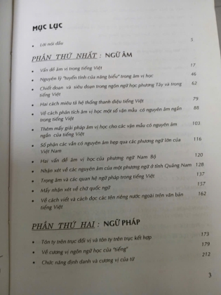 TIẾNG VIỆT - MẤY VẤN ĐỀ NGỮ ÂM, NGỮ PHÁP, NGỮ NGHĨA (BÌA CỨNG) - CAO XUÂN HẠO