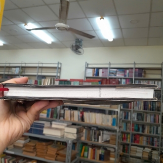 CỬU PHẨM LIÊN HOA TRONG NGHỆ THUẬT PHẬT GIÁO VIỆT NAM - TRANG THANH HIỀN