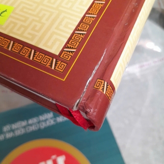 TUỆ TĨNH TOÀN TẬP - NGUYỄN BÁ TĨNH