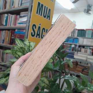 TẠI SAO CÁC QUỐC GIA THẤT BẠI - TRẦN THỊ KIM CHI