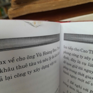 TỘI PHẠM KINH TẾ THỜI HỘI NHẬP - LƯU VINH 