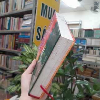TỘI PHẠM KINH TẾ THỜI HỘI NHẬP - LƯU VINH 