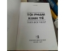 TỘI PHẠM KINH TẾ THỜI HỘI NHẬP - LƯU VINH 