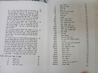 CÁI CƯỜI CỦA THÁNH NHÂN - THU GIANG NGUYỄN DUY CẦN