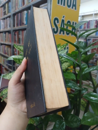 ĐIỆU RU NƯỚC MẮT - DUYÊN ANH 