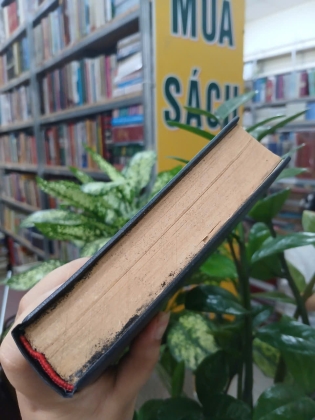 ĐIỆU RU NƯỚC MẮT - DUYÊN ANH 