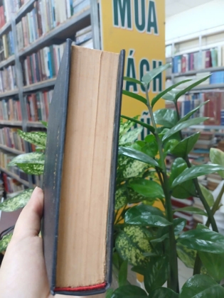 ĐIỆU RU NƯỚC MẮT - DUYÊN ANH 