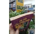 CÁI CƯỜI CỦA THÁNH NHÂN - THU GIANG NGUYỄN DUY CẦN