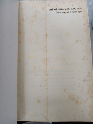 THẾ HỆ NHÀ VĂN SAU 1975