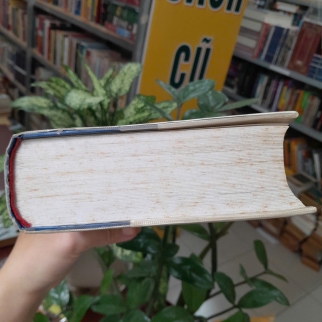 TỪ ĐIỂN LỜI HAY Ý ĐẸP TẬP 2 (BÌA CỨNG) - NGUYỄN HÙNG TRƯƠNG