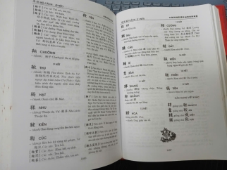 TỪ LÂM HÁN - VIỆT TỪ ĐIỂN (BÌA CỨNG) - VĨNH CAO, NGUYỄN PHỐ 