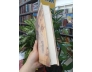 LỤC TỔ ĐÀN KINH (BÌA CỨNG) - HÒA THƯỢNG TUYÊN HÓA LƯỢC GIẢNG