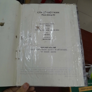 CÂY CỎ VIỆT NAM (QUYỂN I, II, III) - PHẠM HOÀNG HỘ