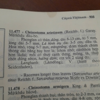 CÂY CỎ VIỆT NAM (QUYỂN I, II, III) - PHẠM HOÀNG HỘ