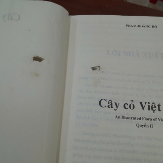 CÂY CỎ VIỆT NAM (QUYỂN I, II, III) - PHẠM HOÀNG HỘ