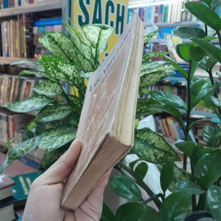 LỤC VÂN TIÊN - NGUYỄN ĐÌNH CHIỂU
