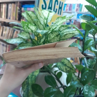 LỤC VÂN TIÊN - NGUYỄN ĐÌNH CHIỂU