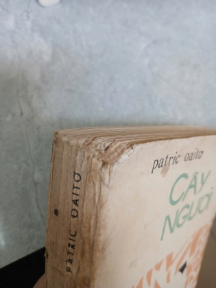 CÂY NGƯỜI (TRỌN BỘ 2 TẬP) - PATRIC OAITƠ
