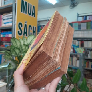 VIỆT NAM PHẬT GIÁO SỬ LUẬN - NGUYỄN LANG 