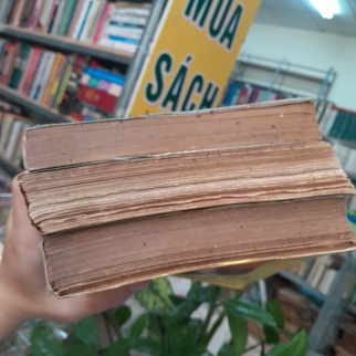 VIỆT NAM PHẬT GIÁO SỬ LUẬN - NGUYỄN LANG 