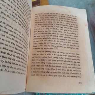 VIỆT NAM PHẬT GIÁO SỬ LUẬN - NGUYỄN LANG 