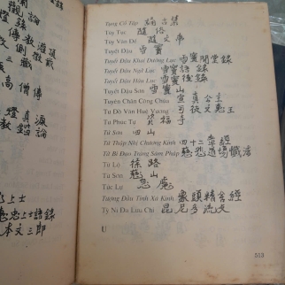 VIỆT NAM PHẬT GIÁO SỬ LUẬN - NGUYỄN LANG 