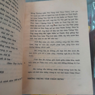 VIỆT NAM PHẬT GIÁO SỬ LUẬN - NGUYỄN LANG 
