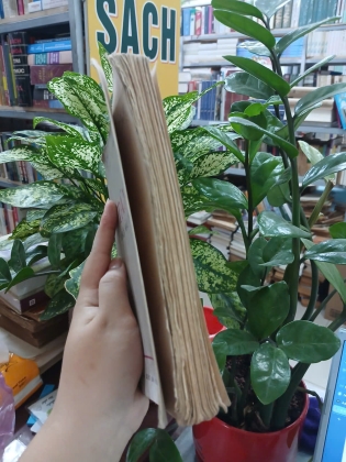 TẢN ĐÀ KHỐI MÂU THUẪN LỚN - TẦM DƯƠNG