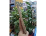 TẢN ĐÀ KHỐI MÂU THUẪN LỚN - TẦM DƯƠNG