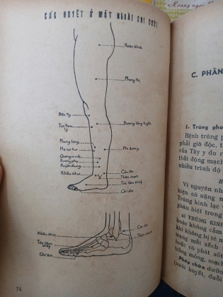 THUỐC NAM VÀ CHÂM CỨU (PHẦN Y VÀ PHẦN DƯỢC) 