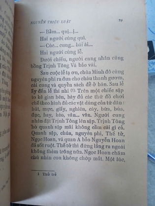 BÀ CHÚA CHÈ - NGUYỄN TRIỆU LUẬT 