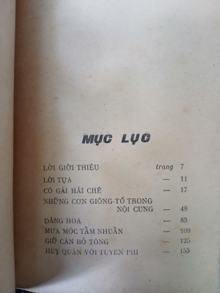 BÀ CHÚA CHÈ - NGUYỄN TRIỆU LUẬT 