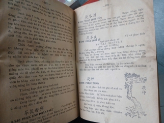 DƯỢC TÍNH CHỈ NAM (TRỌN BỘ) - NGUYỄN VĂN MINH