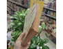 ĐÔNG Y LƯỢC KHẢO ( QUYỂN 2) - ĐỖ ĐÌNH TUÂN