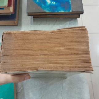 NHỮNG CÂY THUỐC VÀ VỊ THUỐC VIỆT NAM - ĐỖ TẤT LỢI