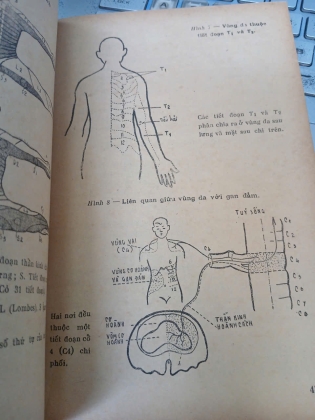 CHÂM CỨU ĐƠN GIẢN - LÊ KHÁNH ĐỒNG