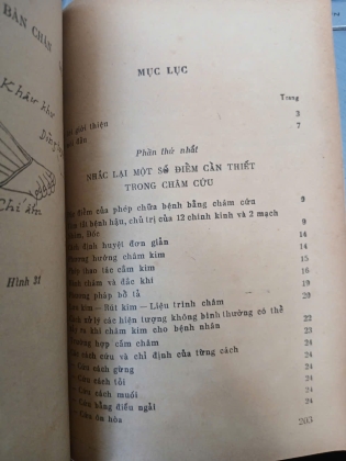 CHÂM CỨU THỰC HÀNH - NGUYỄN HỮU HÁCH 