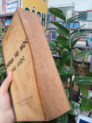 CHÍNH TRỊ HỌC YẾU LƯỢC - ALFRED DE GRAZIA 